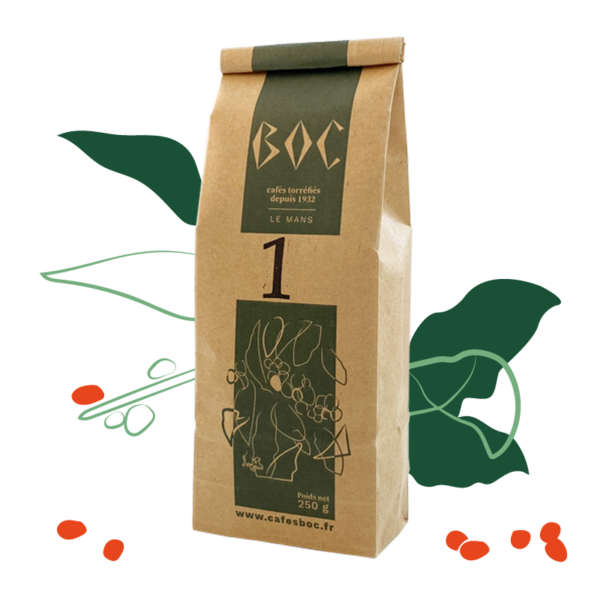 BOC 1, café robusta du Guatemala à la forte intensité