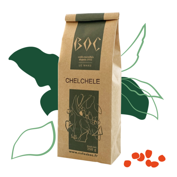 Le Chelchele est un café de spécialité de haute qualité, lavé, certifié agriculture biologique