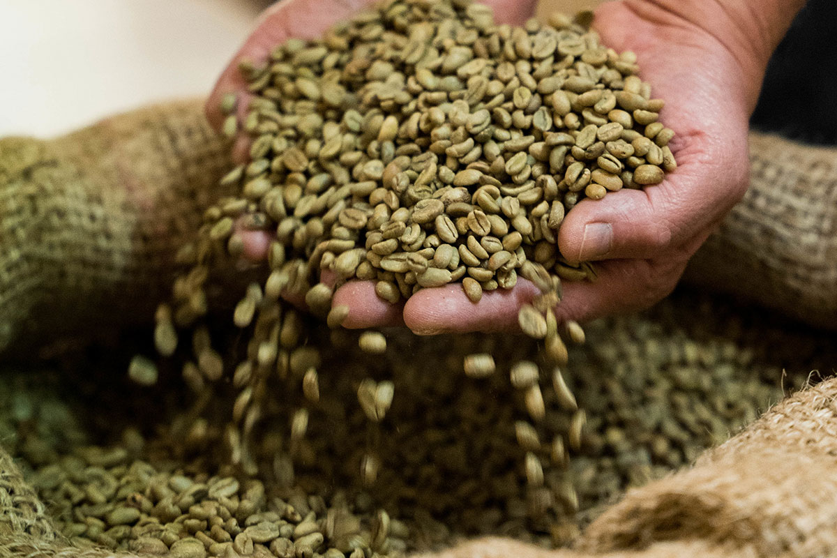 Sac de grains de café avant la torréfaction